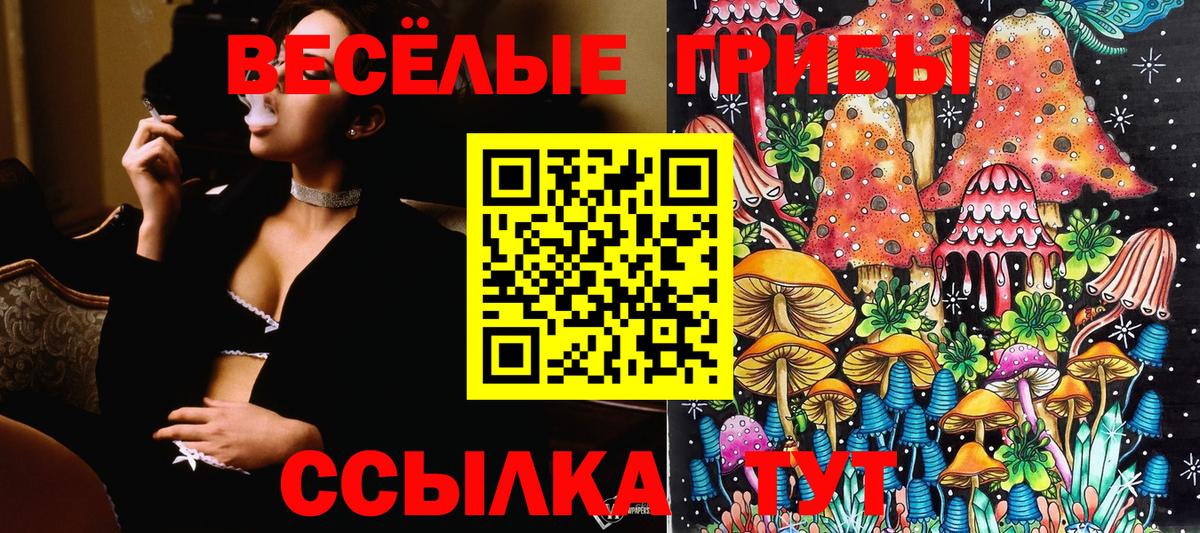 Псилоцибиновые грибы GOLDEN TEACHER  Псилоцибиновые грибы мухоморы  Вход с VPN  Белгород 
